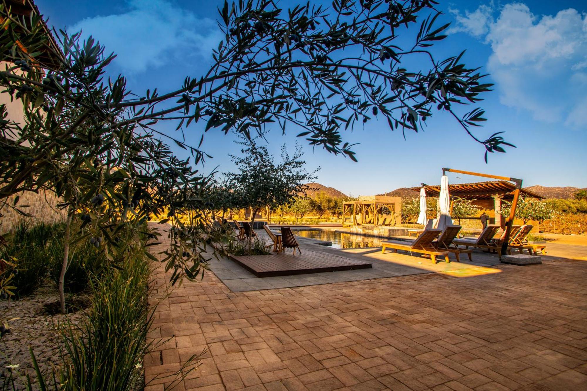 Hotel Flores De Sal-Valle De Guadalupe Exterior photo